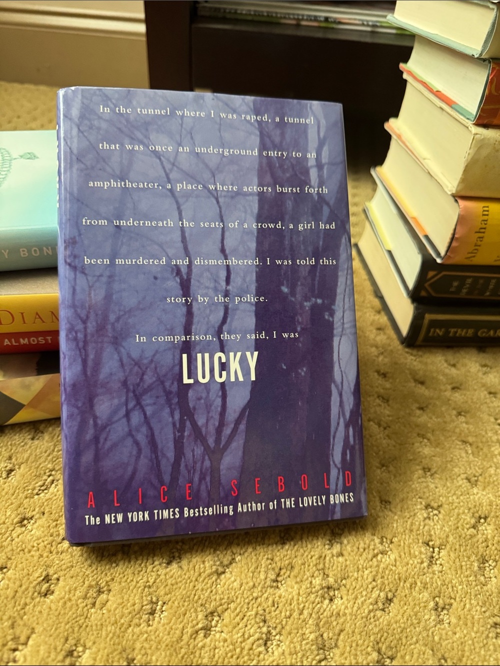 'Lucky' Hardcover Book - Purple